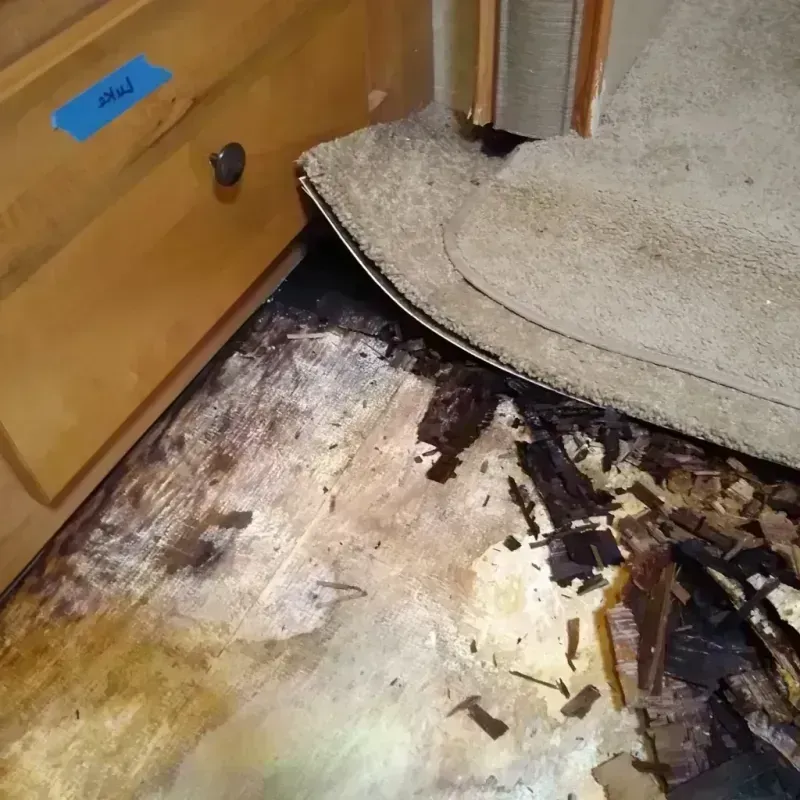 Wood Floor Water Damage in Kalispell, MT